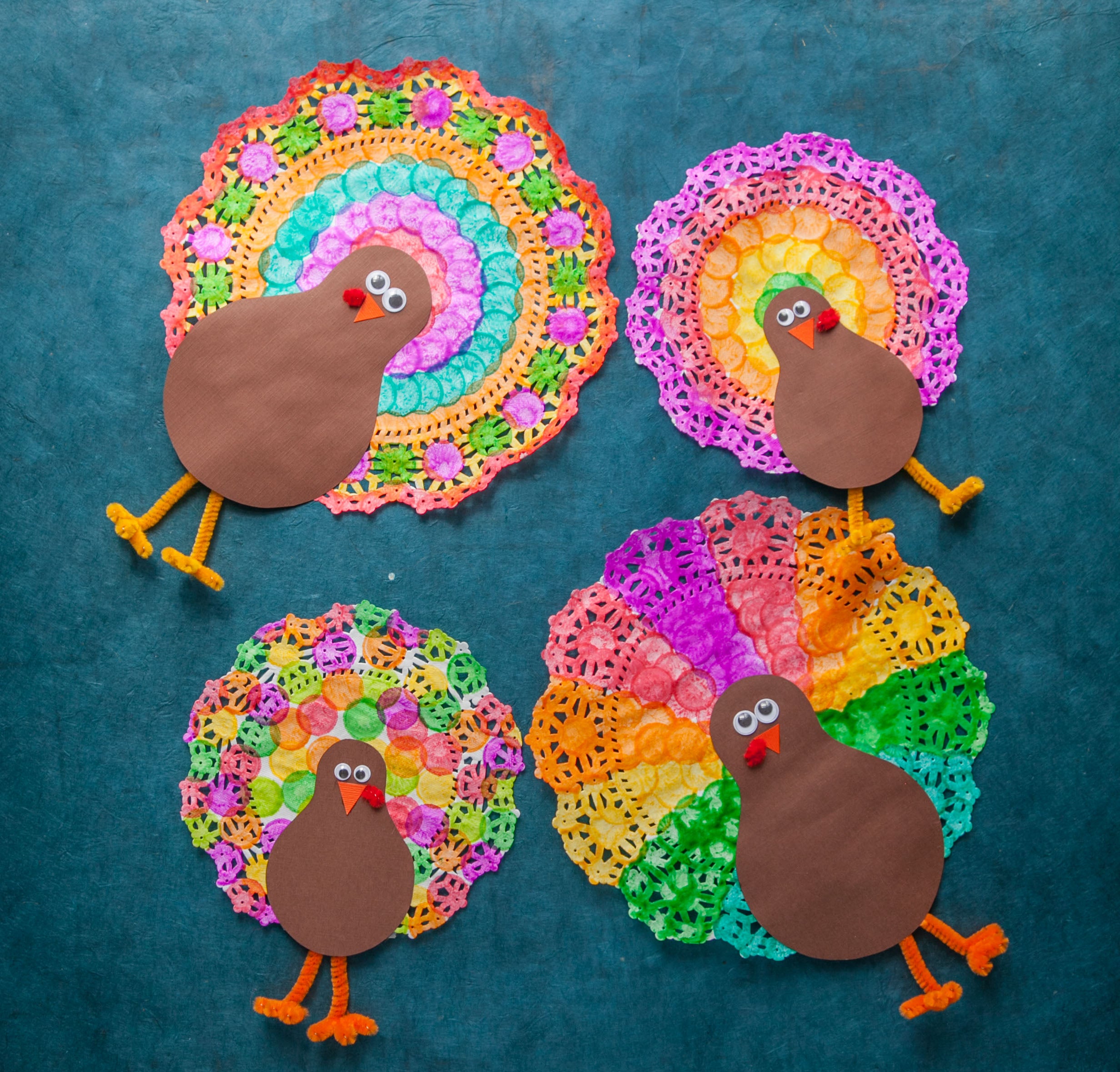 DOILY THANKSGIVING TURKEY